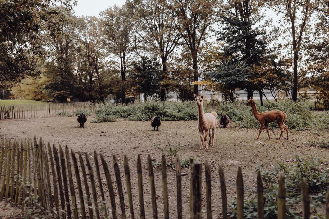 Het Hilkensberg Park Villa Broekhuizen  Eksteriør bilde